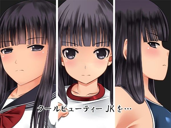 クールビューティーJKを中年用務員が絶倫生チ○ポで突きまくって セックスと受精の快楽地獄に堕とす話