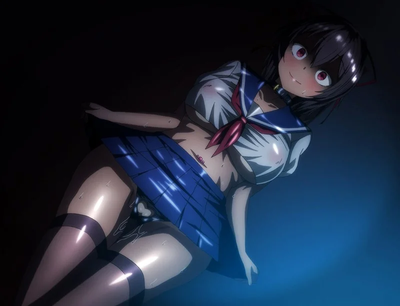 OVAネットカノ